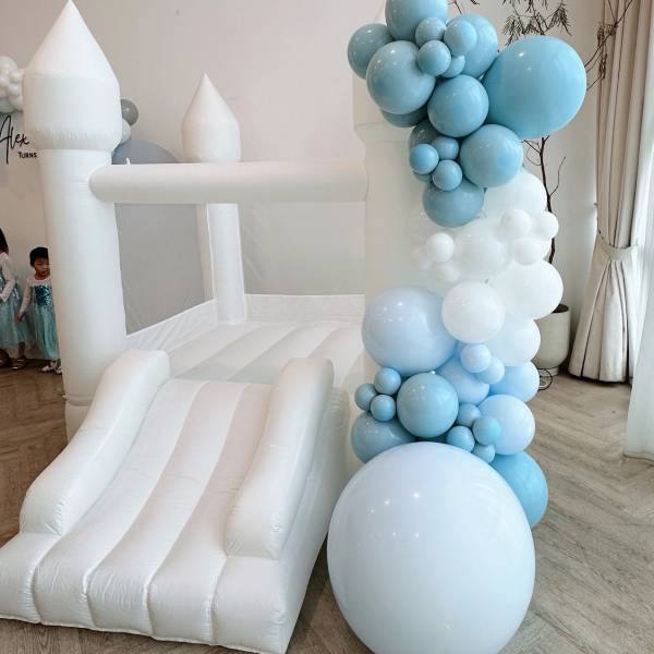 Bouncy Castle / Bubble House