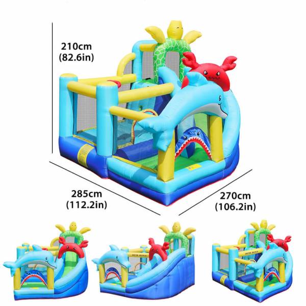 Bouncy Castle / Bubble House