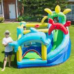Bouncy Castle / Bubble House
