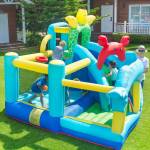 Bouncy Castle / Bubble House