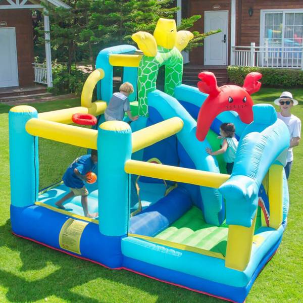 Bouncy Castle / Bubble House