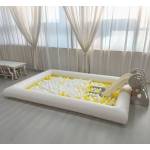 Bouncy Castle / Bubble House