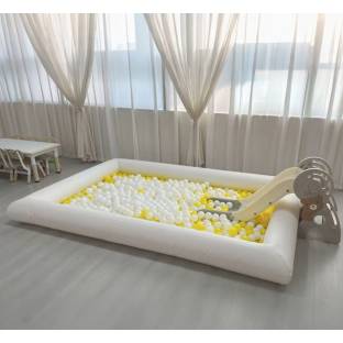 Ball Pit with Slide
