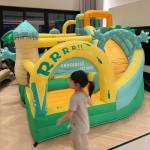 Bouncy Castle / Bubble House