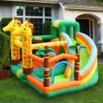 Bouncy Castle / Bubble House