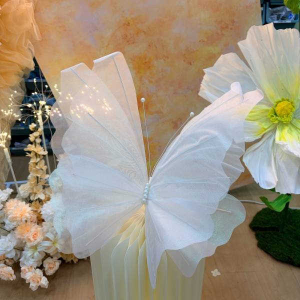 Wedding /  Solemnization